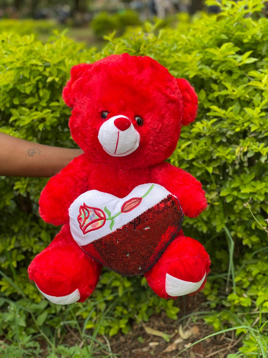 Blush Red 40cm Teddy