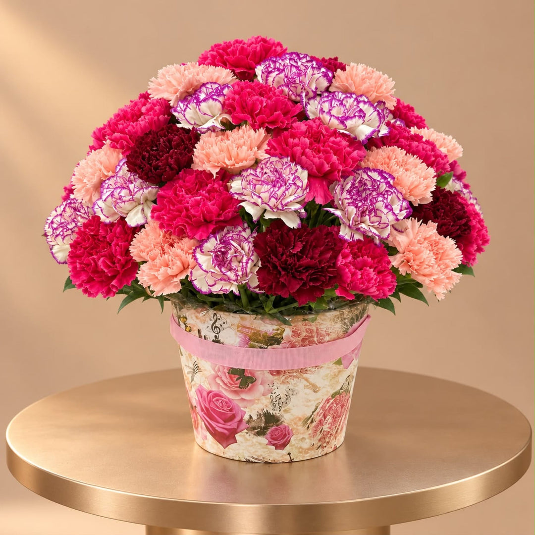 Blooms & Gifts Carnation Candy 70 Mixed Carnations Floral Bucket Box