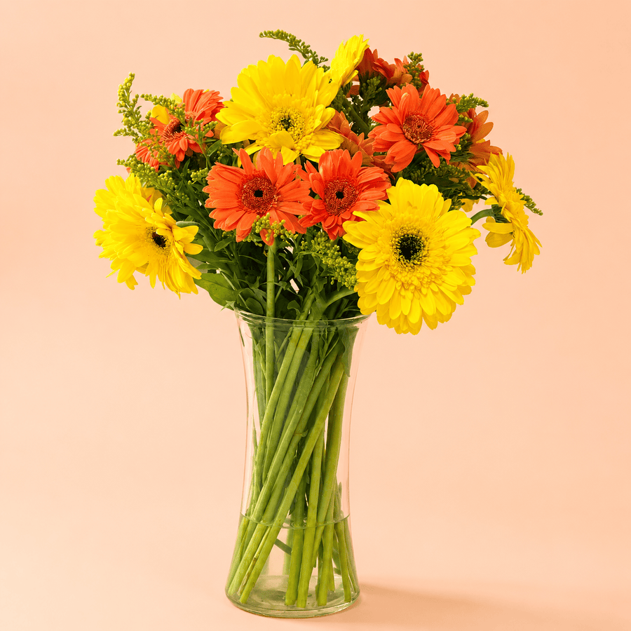 Blooms & Gifts Sunshine Burst Yellow & Orange Gerbera Vase