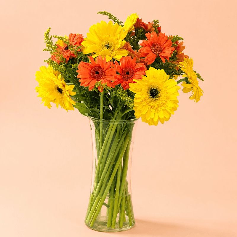 Blooms & Gifts Sunshine Burst Yellow & Orange Gerbera Vase